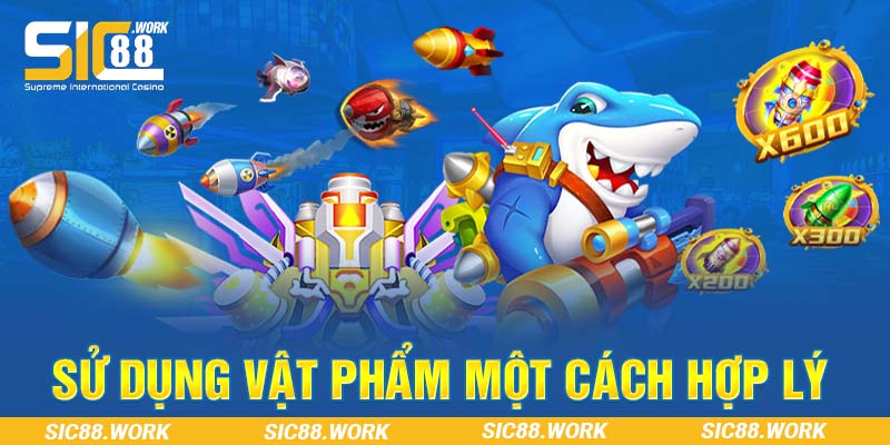 Sử dụng vật phẩm một cách hợp lý